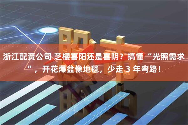 浙江配资公司 芝樱喜阳还是喜阴？搞懂 “光照需求”，开花爆盆像地毯，少走 3 年弯路！