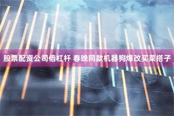 股票配资公司倍杠杆 春晚同款机器狗爆改买菜搭子