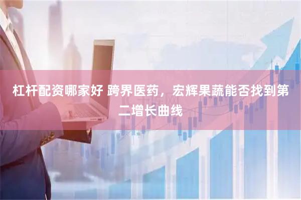 杠杆配资哪家好 跨界医药，宏辉果蔬能否找到第二增长曲线